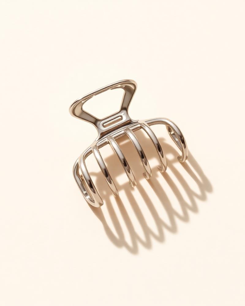 The Silver Claw Clip